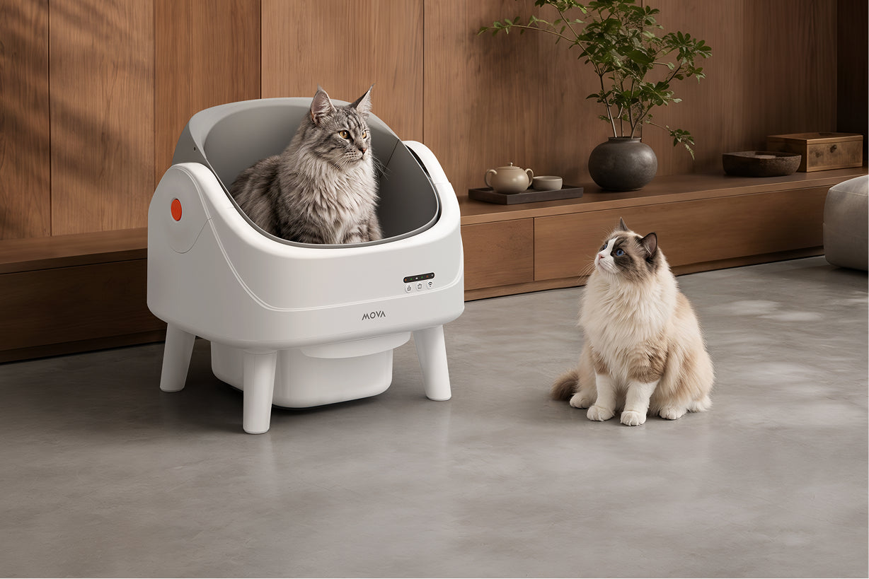 MOVA LB10 Air lettiera autopulente Design adatto a tutte le taglie
