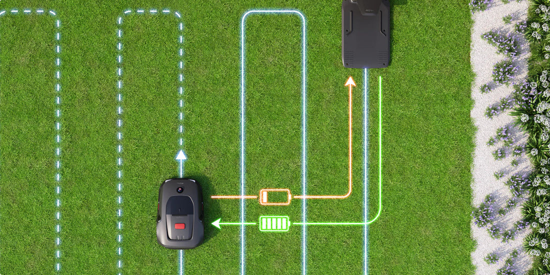 mova 1000 ricarica automatica per una tosatura senza problemi