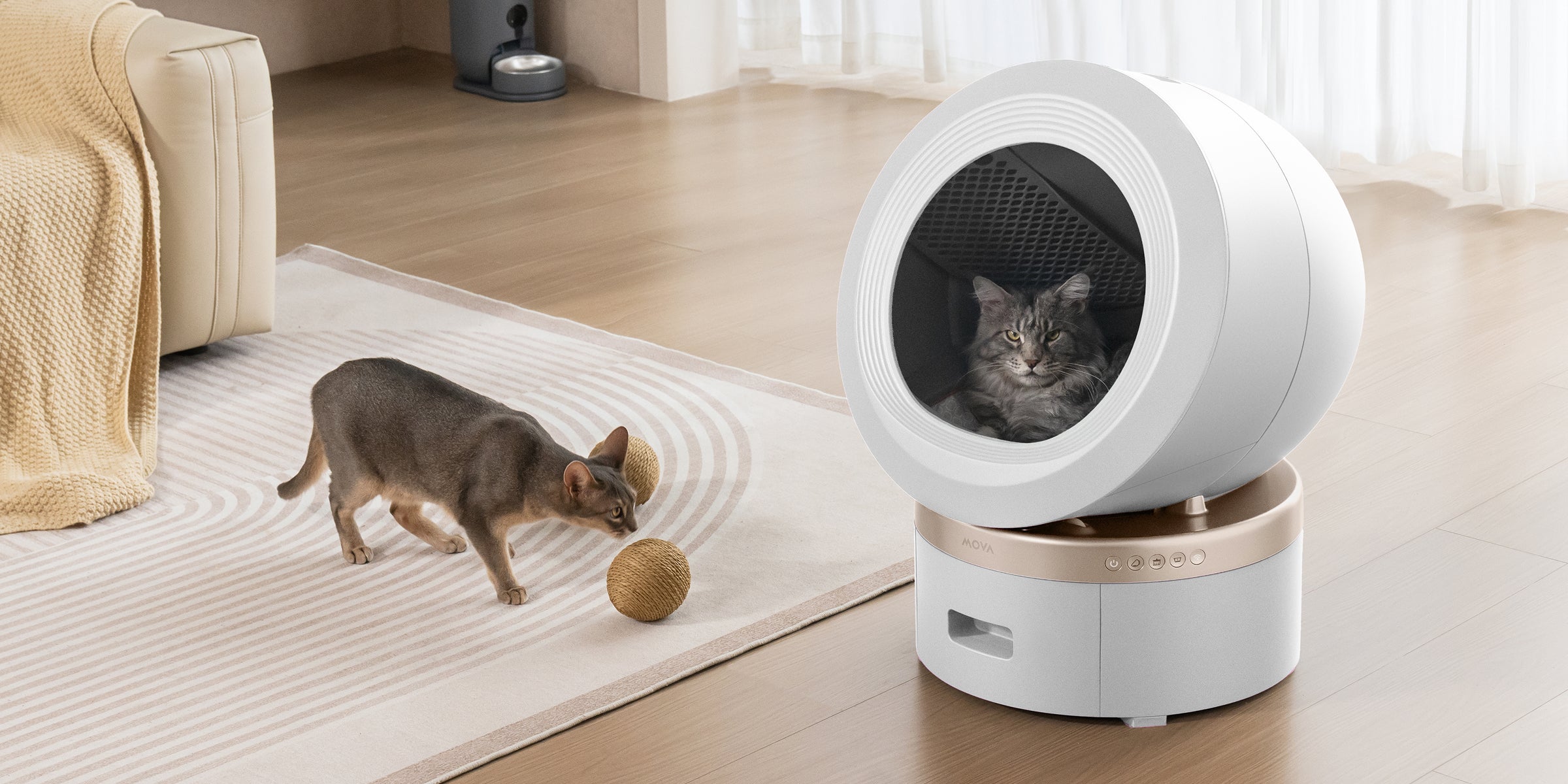 lettiere automatiche per gatti