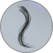 Capelli