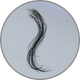 Capelli