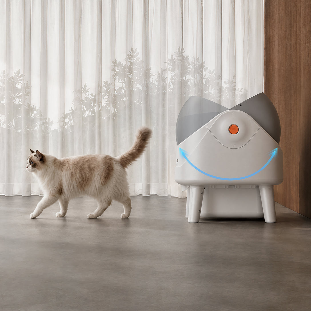 MOVA LB10 Air lettiera autopulente Il tuo gatto esce, la pulizia inizia