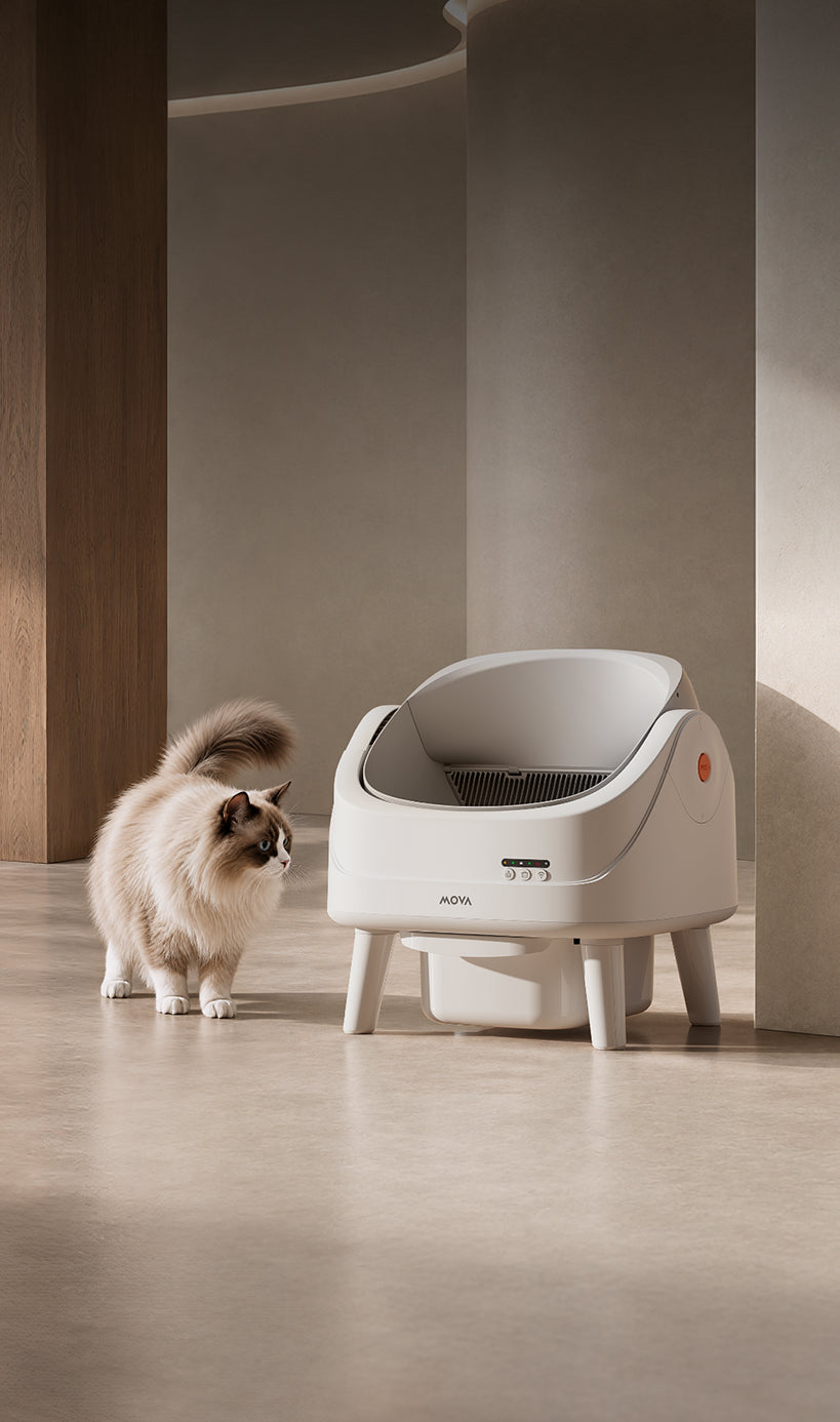 
                      MOVA LB10 Air lettiera autopulente LB10 Air

                    