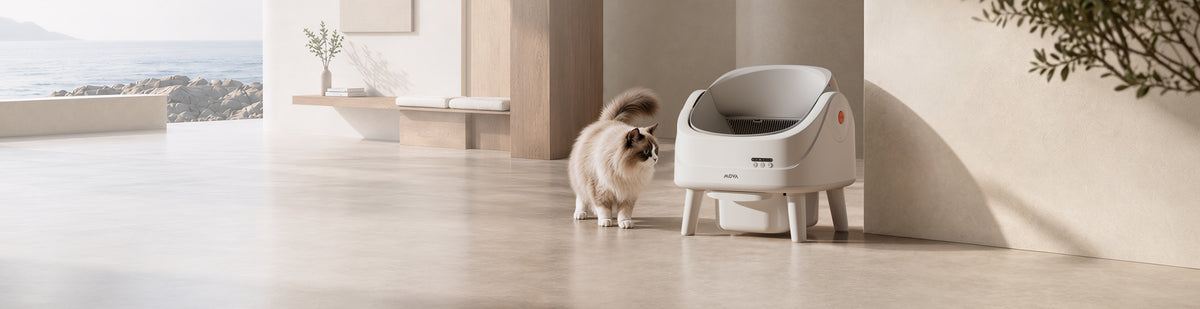 MOVA LB10 Air lettiera autopulente LB10 Air