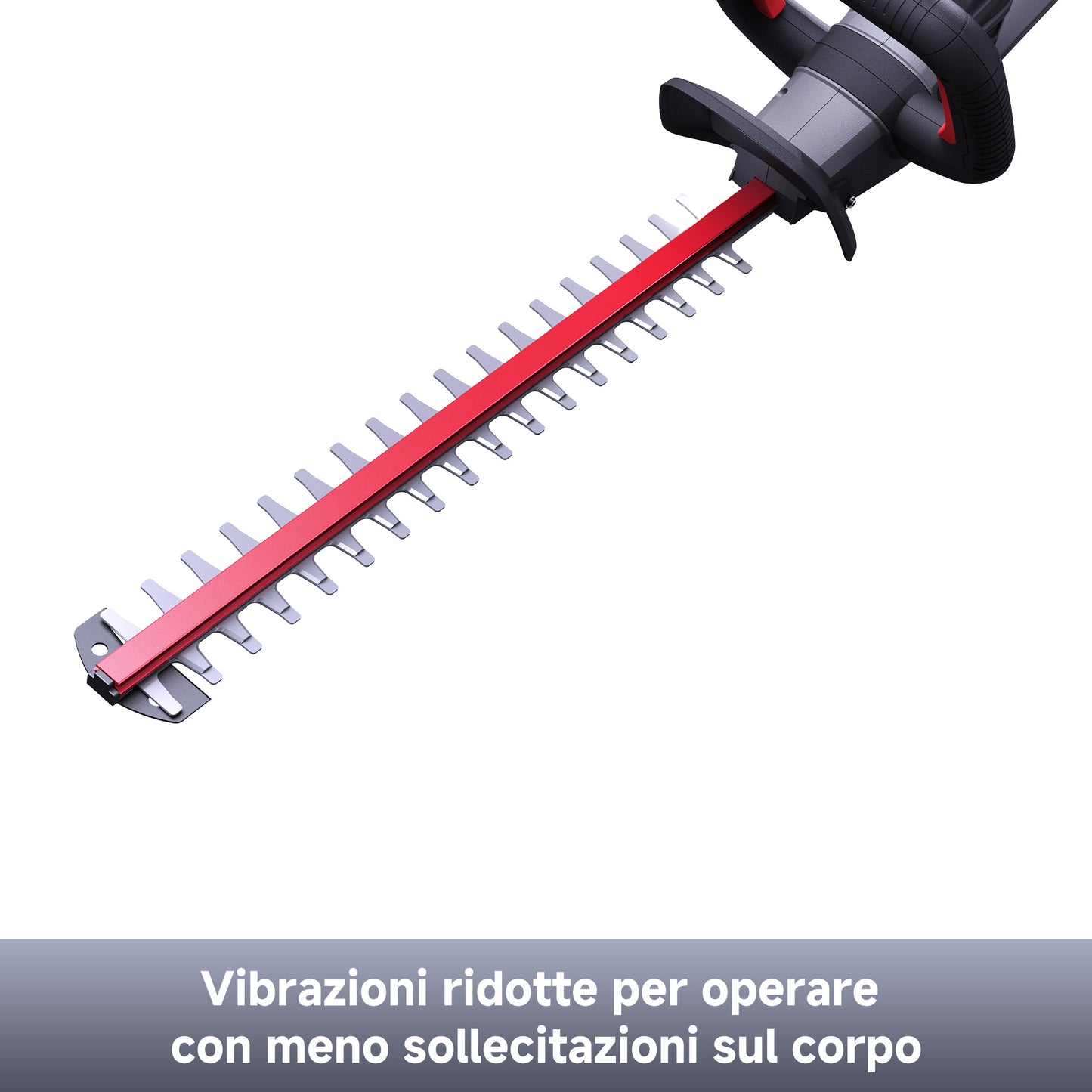 Tagliasiepi cordless 55 cm 20 V