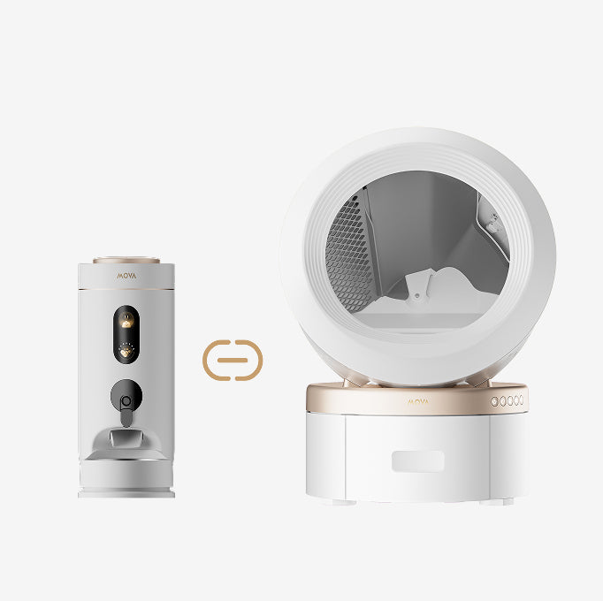 mova lr10 prime sincronizzazione mangiatoia