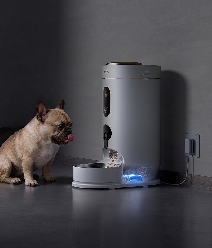 Senza corrente, i pasti non si fermano - 