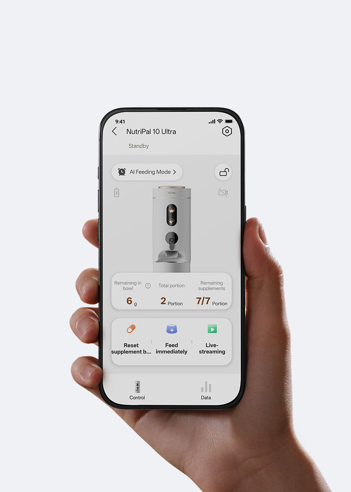 Dall'app alla ciotola istantaneamente