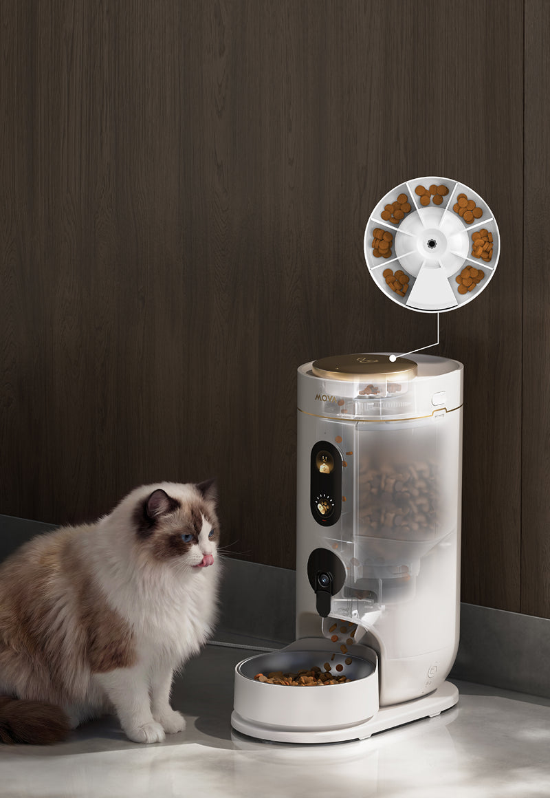 Vano integratori separato per 7 giorni*