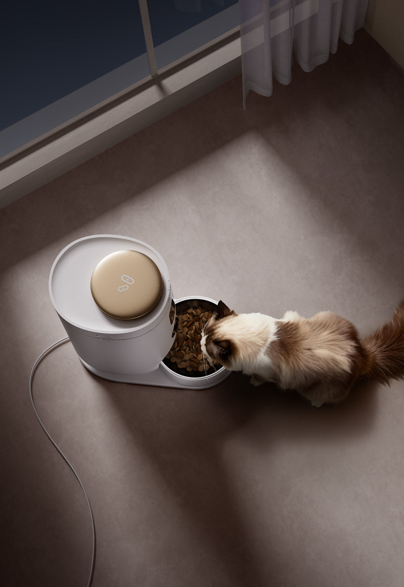 Fotocamera con obiettivo grandangolare HD 1080P*