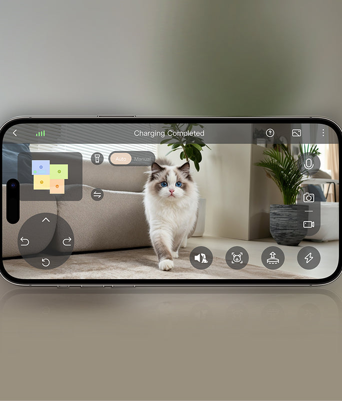 Cura approfondita degli animali - 