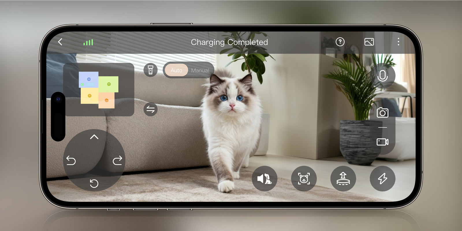 Cura approfondita degli animali - 