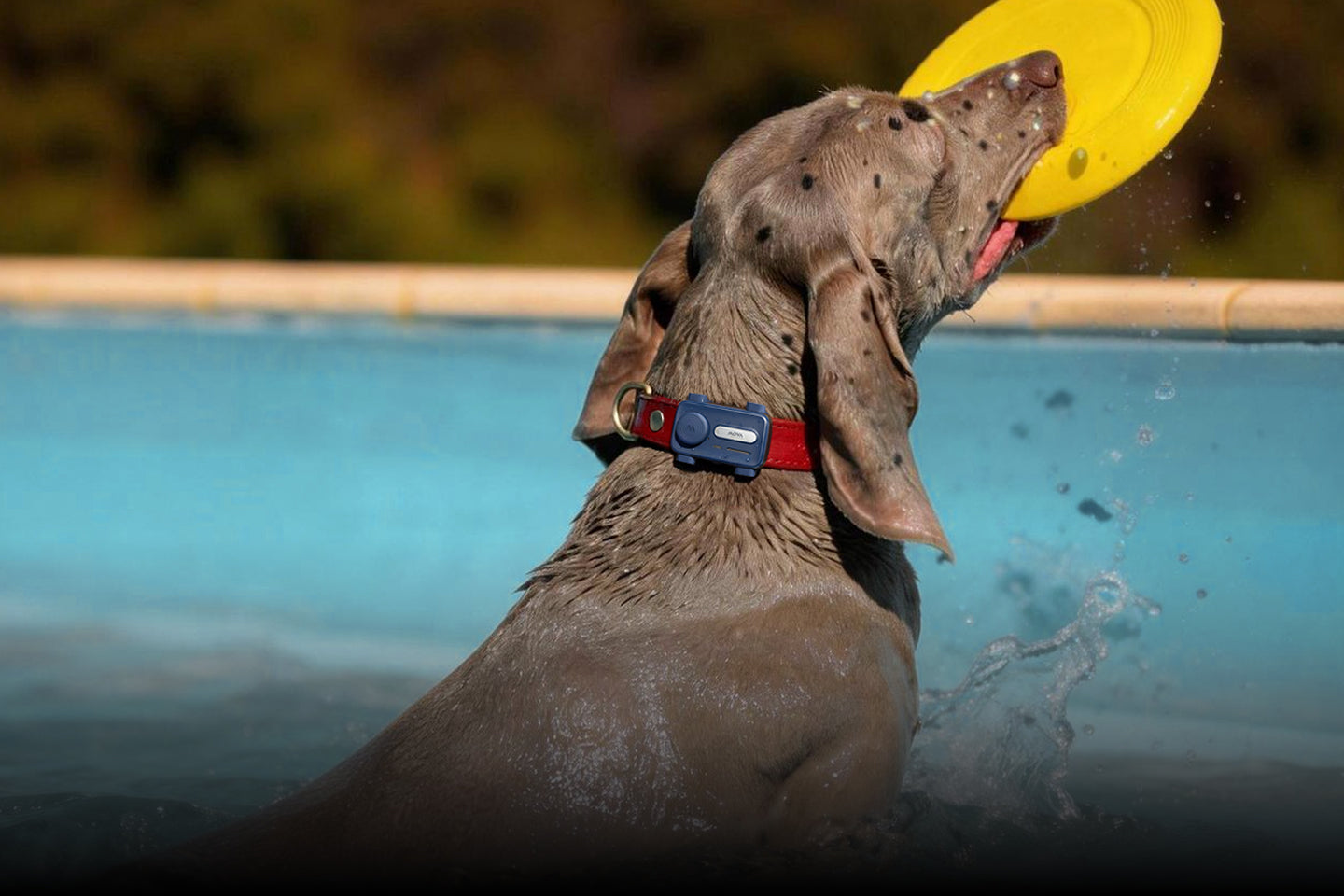 Resistenza all'acqua e alla polvere IP67* - 