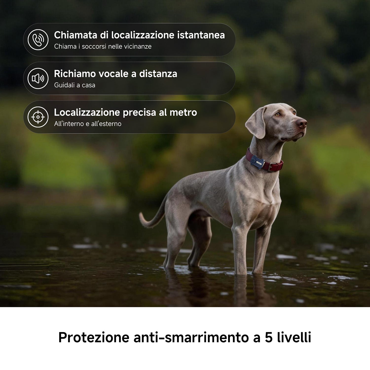 MOVA SureTrack Pro Localizzatore GPS Animali