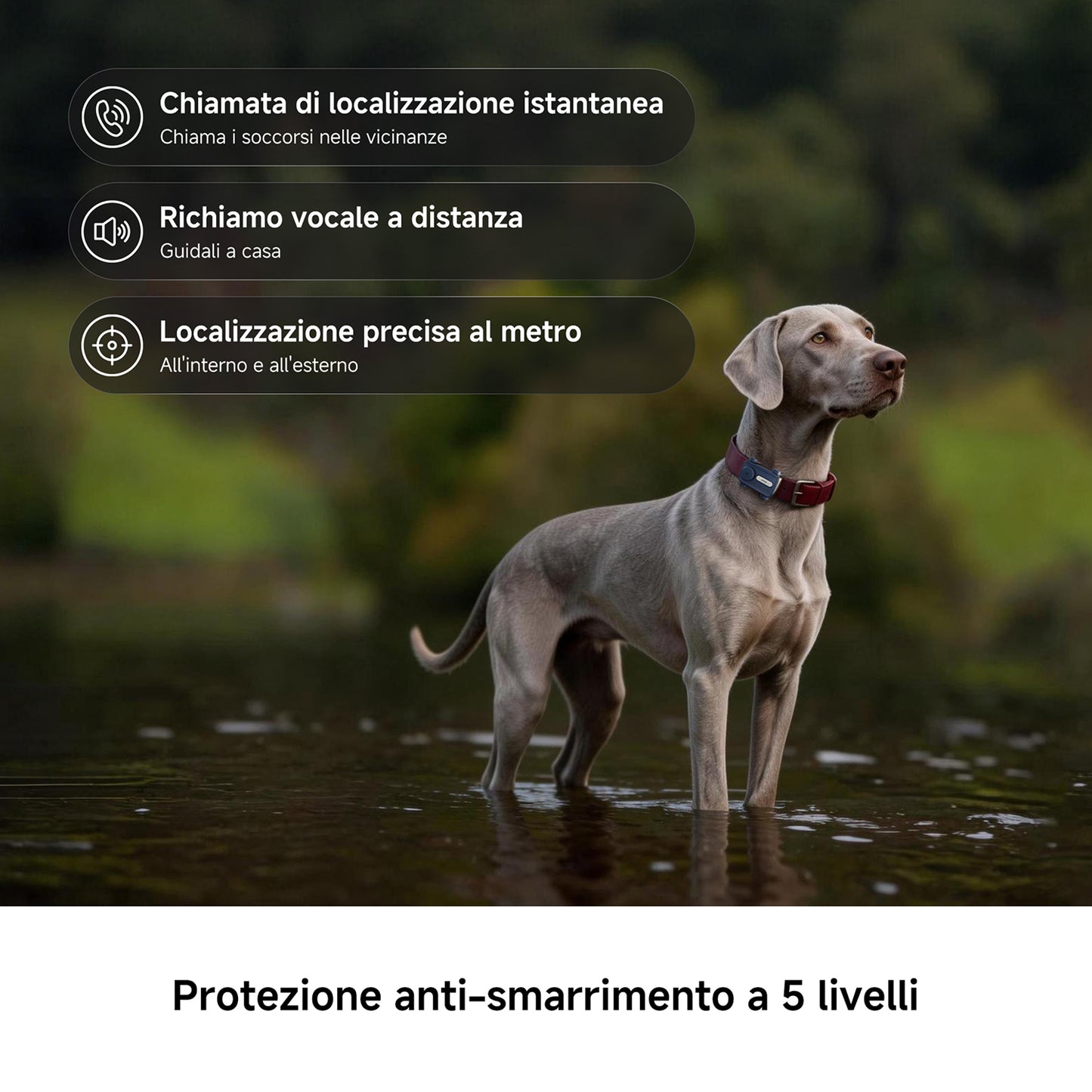 MOVA SureTrack Pro Localizzatore GPS Animali
