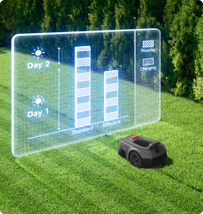 Efficienza di tosatura adattabile - 