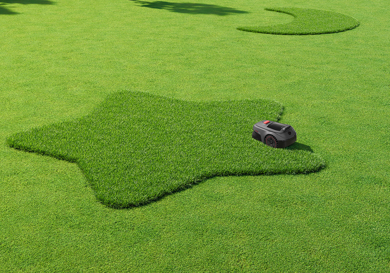 Disegni di tosatura artistici - 