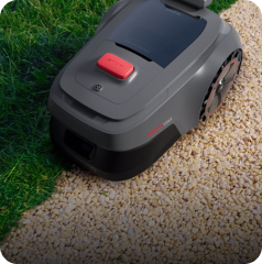 Taglio avanzato dei bordi sopra i confini - 