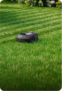 Taglio a U per una tosatura efficiente e completa - 