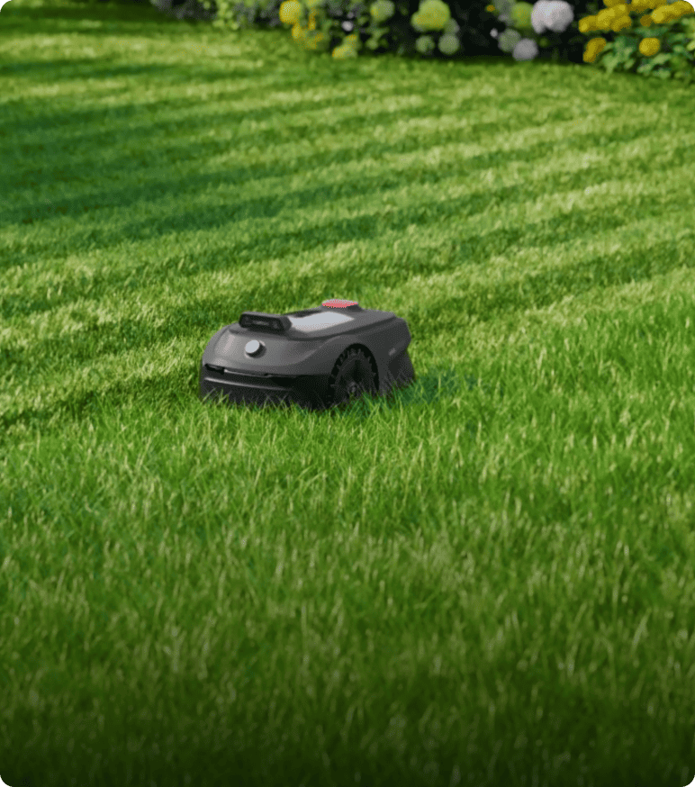 Taglio a U per una tosatura efficiente e completa - 