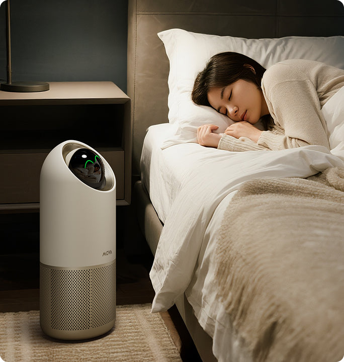 Versione X10 Plus camera da letto - 